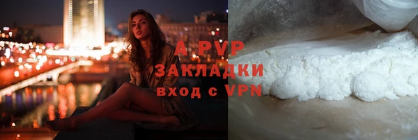 ПСИЛОЦИБИНОВЫЕ ГРИБЫ Верхний Тагил