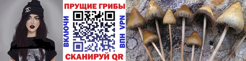 Галлюциногенные грибы Magic Shrooms  Лысково 